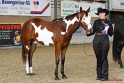 22-APHA HOTC_129